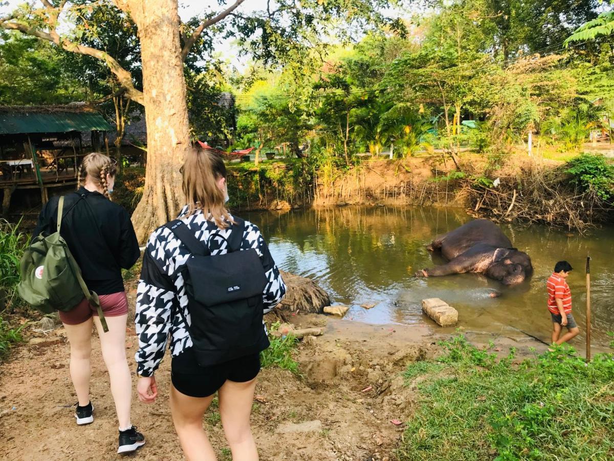 Dambulla Tourist Resort מראה חיצוני תמונה